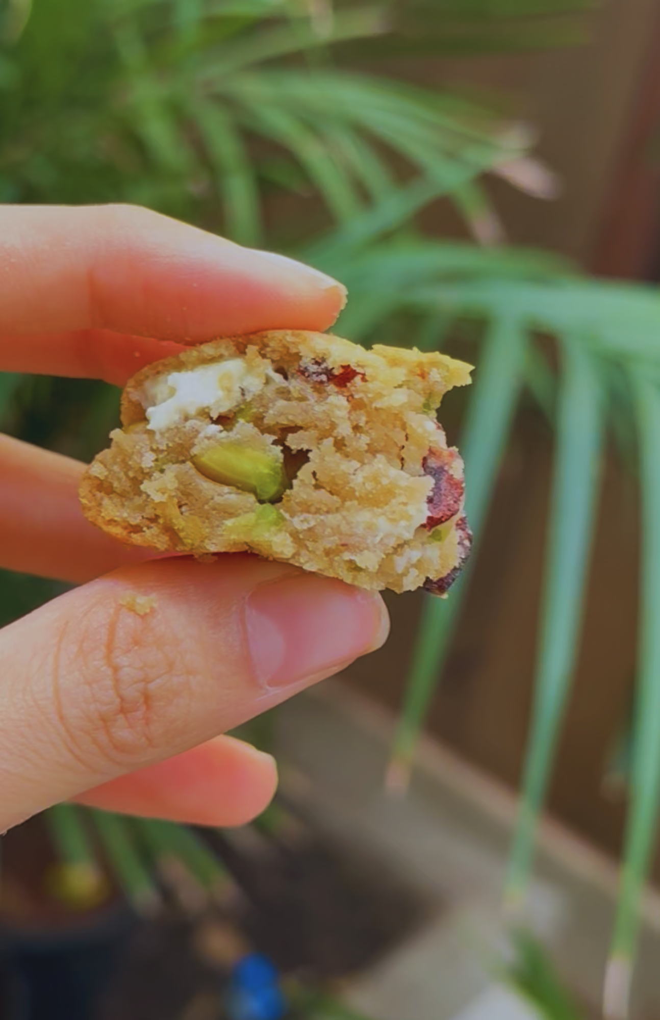 Berry Nutty - Pistachio & Cranberry