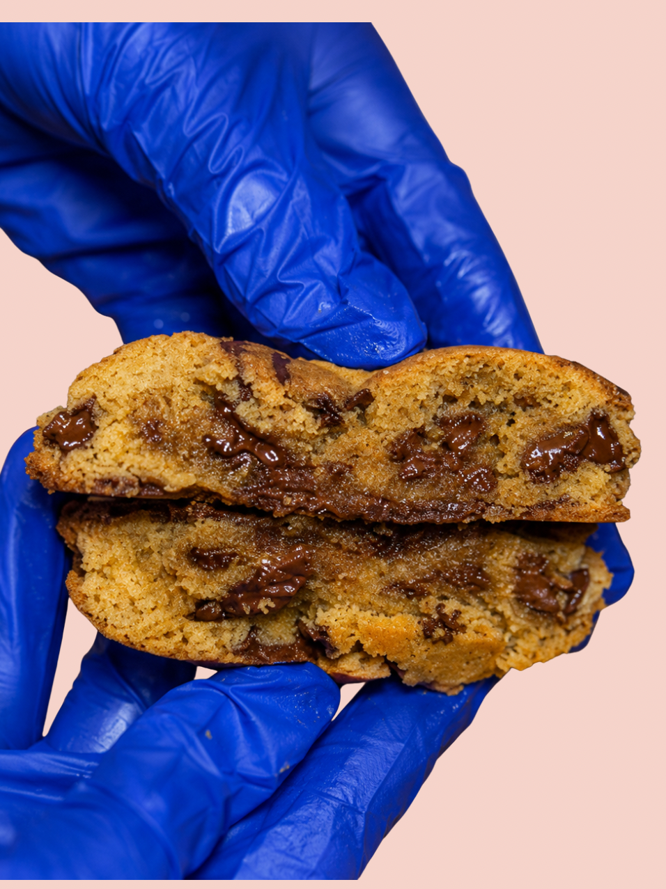NYC Choco Chip